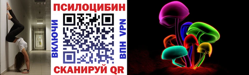 Галлюциногенные грибы Psilocybine cubensis  Орехово-Зуево 